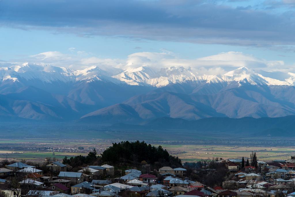 Hillside Resort Telavi Dış mekan fotoğraf